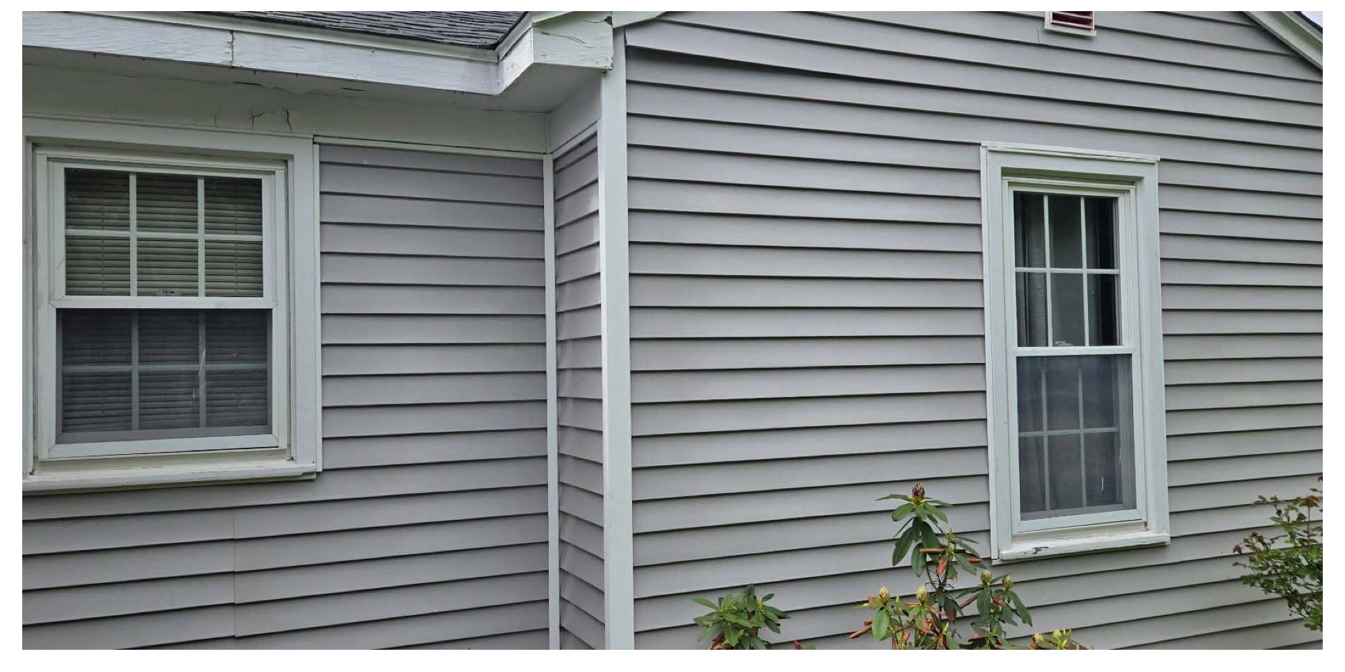Algae Removed from Siding after pressure washing
